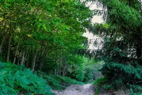 Photograph of Pioneer County Park, Muskegon