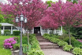 Photograph of Newaygo Bed And Breakfast, Newaygo