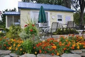 Photograph of The Little Yellow Cottages, Port Austin