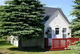 Photograph of Christmas Paradise Cottage, Christmas