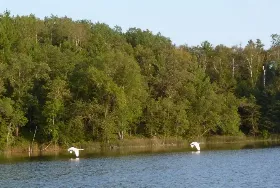 Photograph of Wilderness Bay Resort, Park Rapids