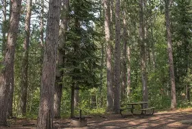 Photograph of Owen Lake Campground And Day-use Area, Effie