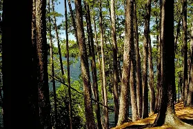 Photograph of Scenic State Park, Bigfork