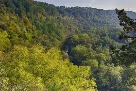 Photograph of Whitewater State Park, Altura