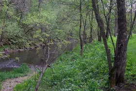 Photograph of Carley State Park, Altura