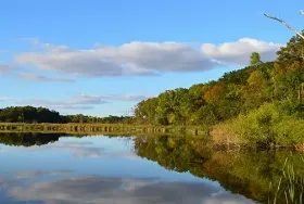 Photograph of Lake Maria State Park, Monticello
