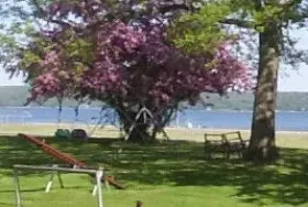 Photograph of Woodlawn Resort & Campground, Glenwood