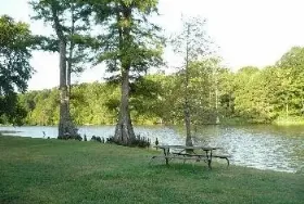 Photograph of Leroy Percy State Park Campground, Hollandale