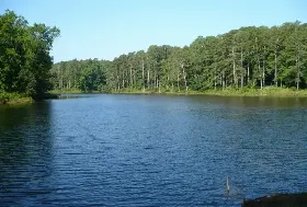 Photograph of Legion State Park Campground, Louisville
