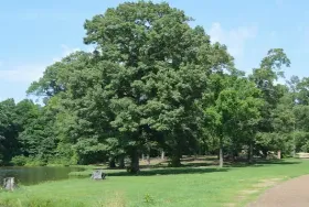 Photograph of Clear Creek Campground, Vicksburg