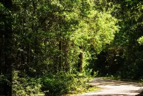 Photograph of Bluff Creek Campground, Vancleave