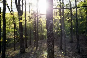 Photograph of Deer Creek Campground & River Outfitters, Lesterville