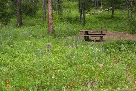 Photograph of Baker's Hole Campground, West Yellowstone