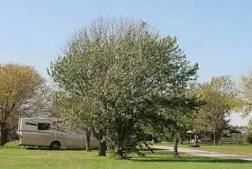 Photograph of Lions Camper Park, Wayne