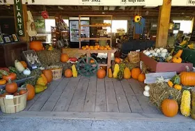 Photograph of Coppal House Farm & Corn Maze, Lee