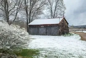 Photograph of Smith Orchard, Belmont