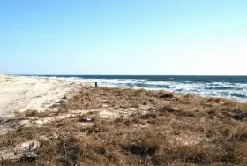 Photograph of Island Beach Motor Lodge, Seaside Park
