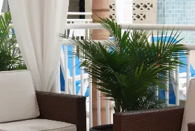 Photograph of Park Lane Resort, Wildwood Crest