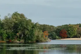 Photograph of Parvin State Park, Elmer