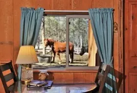 Photograph of Geronimo Trail Guest Ranch, Winston