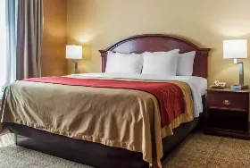 Photograph of Quality Inn, Cheektowaga