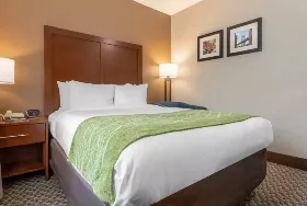 Photograph of Comfort Inn & Suites, Jamaica