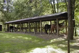 Photograph of Bear Spring Mountain State Campground, Walton