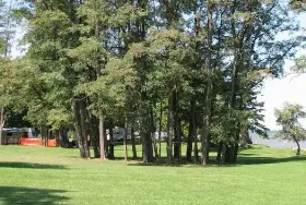 Photograph of Haight's Park Campground, Barker