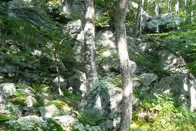 Photograph of Ward Pound Ridge Reservation, Pound Ridge