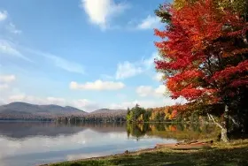 Photograph of Lake Eaton Campsite, Long Lake