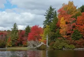 Photograph of Limekiln Lake State Campground, Inlet