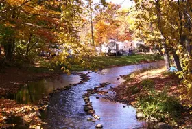 Photograph of Woodstream Campsite RV Resort, Gainesville