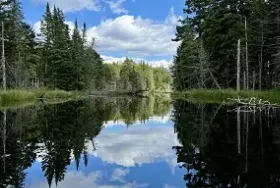 Photograph of Lake Harris, Newcomb