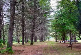 Photograph of Ideal Campground, Pottersville