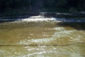 Photograph of Whitaker Park, Martinsburg