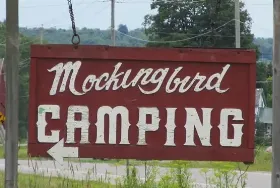 Photograph of Mockingbird Park, Arcade