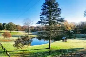 Photograph of Holiday Hill Campground, Springwater