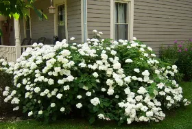 Photograph of Mustard Seed Inn And Bed & Breakfast, Andover