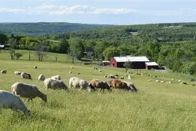 Photograph of The Farm Sanctuary And B&B, Watkins Glen