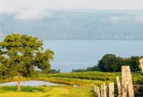 Photograph of Chateau Lafayette Reneau Winery & Inn, Hector