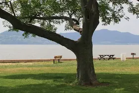Photograph of Croton Point Park, Croton on Hudson