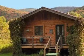 Photograph of Pepacton Cabins, Downsville