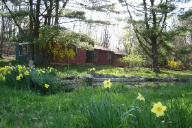 Photograph of Bed And Books On Blake, Middletown