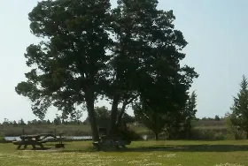 Photograph of Cedar Creek Campground & Marina, Sealevel