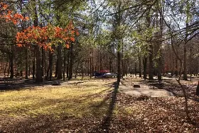 Photograph of Smokemont Campground, Cherokee