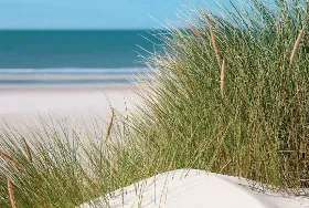 Photograph of Proactive Vacations, Holden Beach