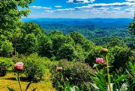 Photograph of Mountain Laurel Realty, Mars Hill