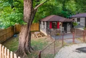 Photograph of Asheville Cabins & Vacation Rentals, Asheville