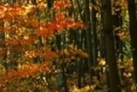 Photograph of Happy Hills Family Campground, Nelsonville
