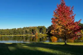 Photograph of Rustic Lakes Campgrounds, Sullivan